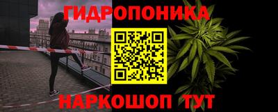 прущие грибы Бузулук