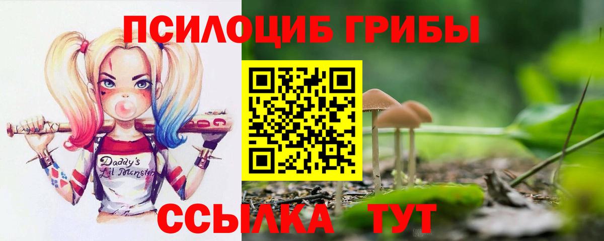Псилоцибиновые грибы GOLDEN TEACHER Комсомольск-на-Амуре